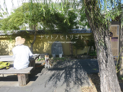 福昇亭-長野の旅2021-_e0394031_06555360.jpg
