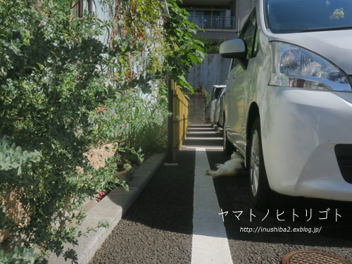 福昇亭-長野の旅2021-_e0394031_06560613.jpg