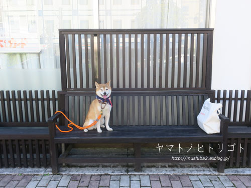 福昇亭-長野の旅2021-_e0394031_06560800.jpg