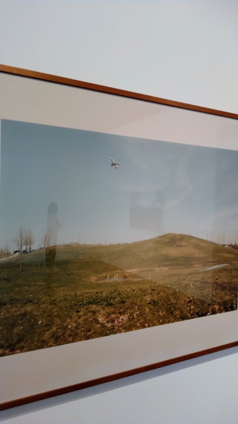 2022.9 国立近代美術館コレクション展_c0002171_12451985.jpg