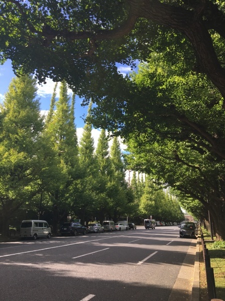 表参道から246沿い外苑前→神宮外苑のイチョウ並木→信濃町_b0417696_23232581.jpeg