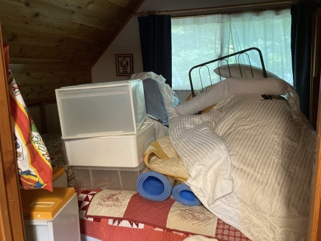 夏の寝具の大点検と思い出ボックス_d0348118_13264433.jpeg