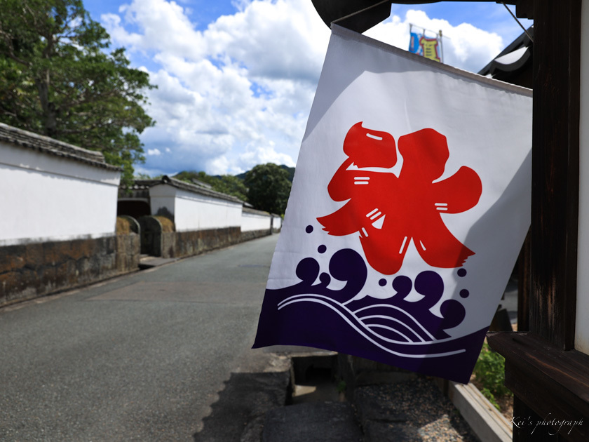 夏みかん_c0235725_08471181.jpg