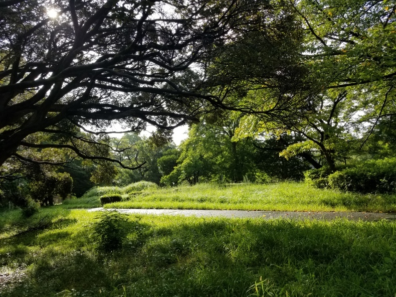 魂の八球_e0016828_12481462.jpg