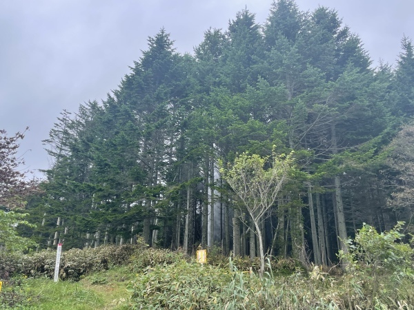 【10日目：八雲→岩内 95Km】話題の水柱に行ってきたぞ　2022.9.6_b0002156_19103264.jpeg