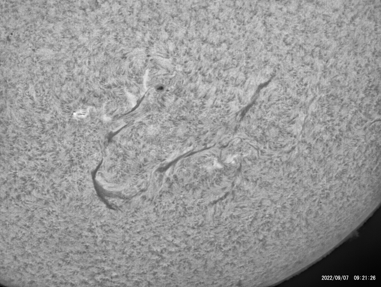 9月7日の太陽_e0174091_20364585.jpg