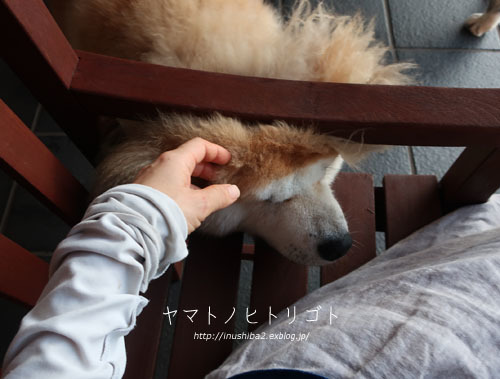 最近のこと_e0394031_06290608.jpg