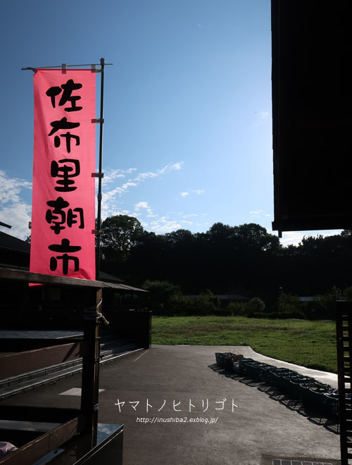 最近のこと_e0394031_06300326.jpg
