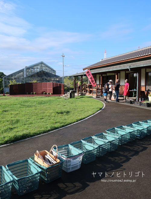 最近のこと_e0394031_06300696.jpg