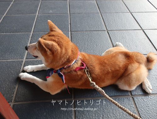 最近のこと_e0394031_06304500.jpg