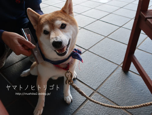 最近のこと_e0394031_06304701.jpg