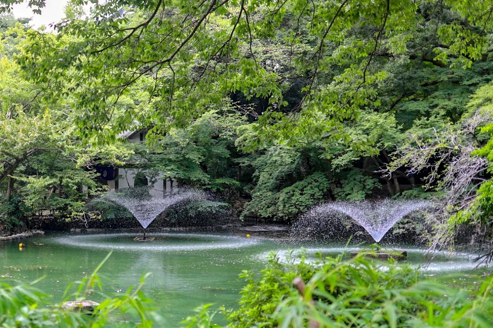 吉祥寺・井の頭公園 アサガオ型噴水や平和祈念像も☆_e0415943_18193384.jpg