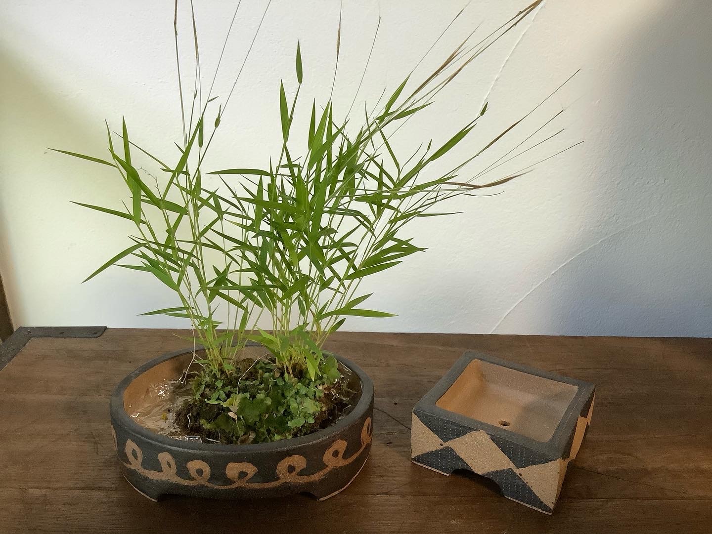 芝原雪子さんの盆栽鉢をオンラインショップにUPしました。_d0336460_03410943.jpeg
