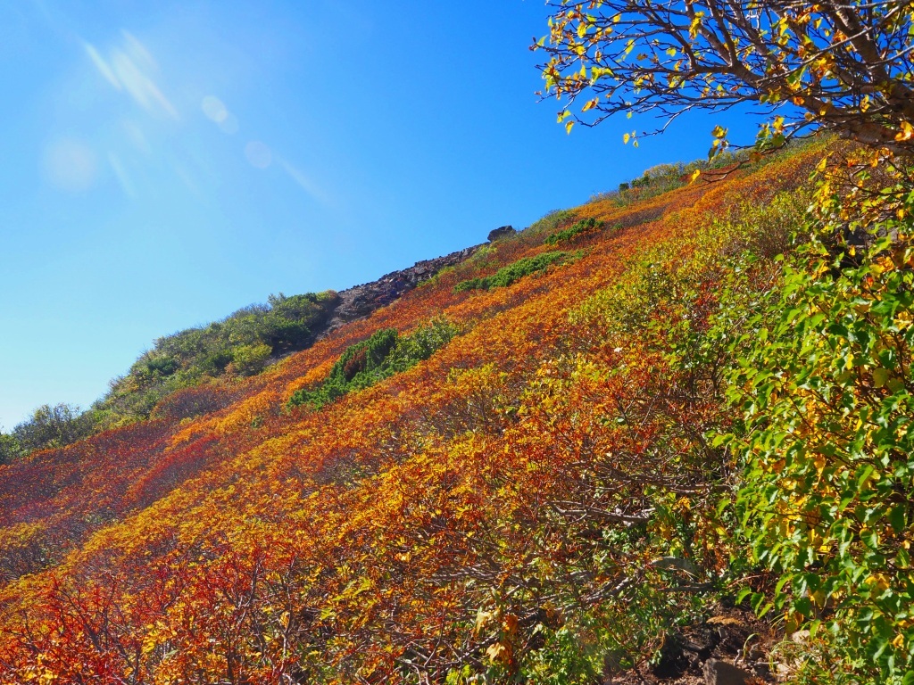 紅葉が始まった羊蹄山 22 9 8ー速報版ー デジカメ持って野に山に