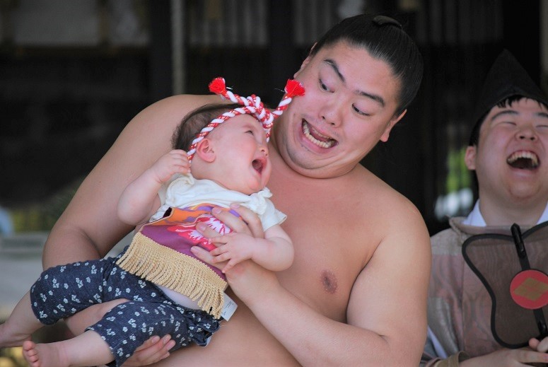 ふくい泣き相撲・秋場所 受付開始のご案内_f0067122_11535595.jpg