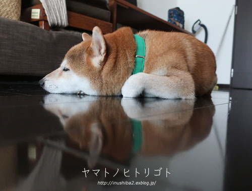 再発アトピーと折れた歯_e0394031_06320740.jpg