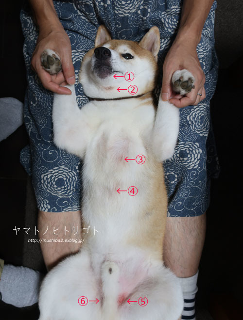 再発アトピーと折れた歯_e0394031_06322720.jpg
