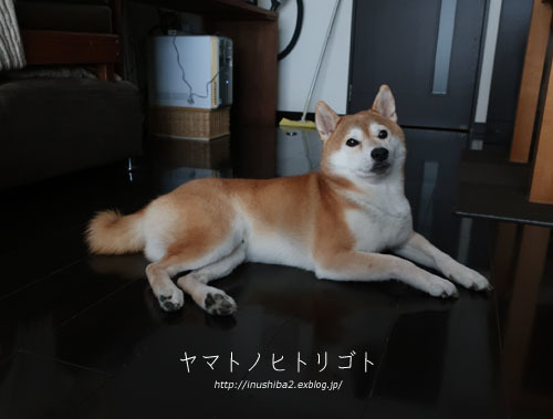 再発アトピーと折れた歯_e0394031_06323690.jpg
