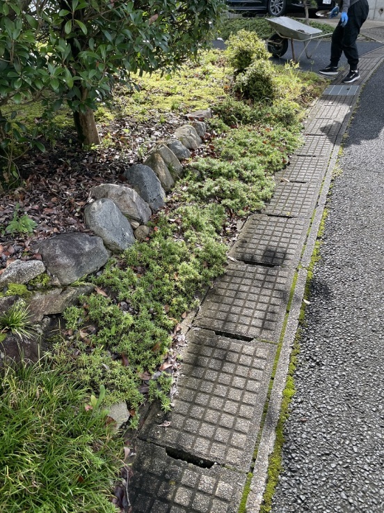 秋雨かぁ_f0076731_19544336.jpg