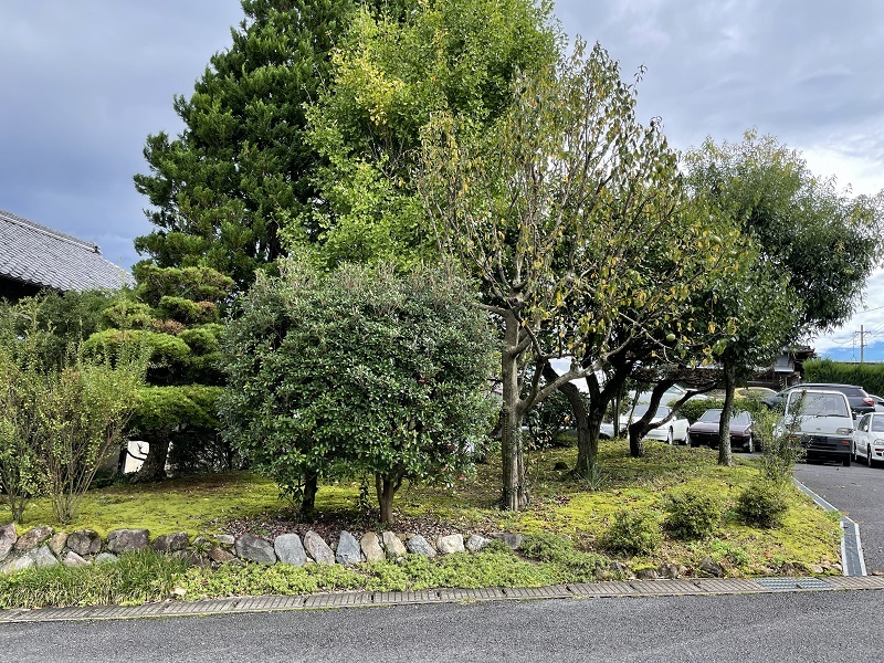 秋雨かぁ_f0076731_19545710.jpg