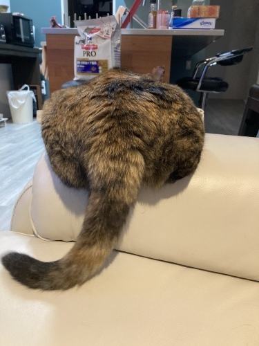 Sorry and Thank._c0153966_22040052.jpeg