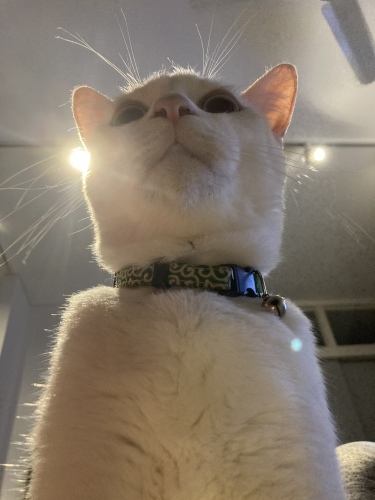 Sorry and Thank._c0153966_22092729.jpeg