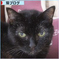 究極のすまん寝_a0389088_13542545.jpg
