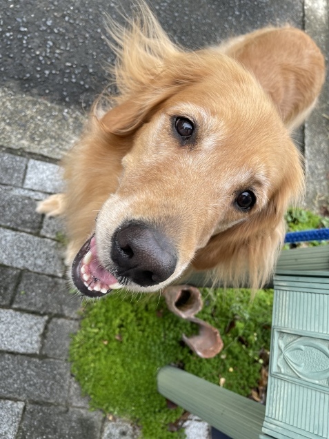 穏やかな時間。_a0394574_15534458.jpeg