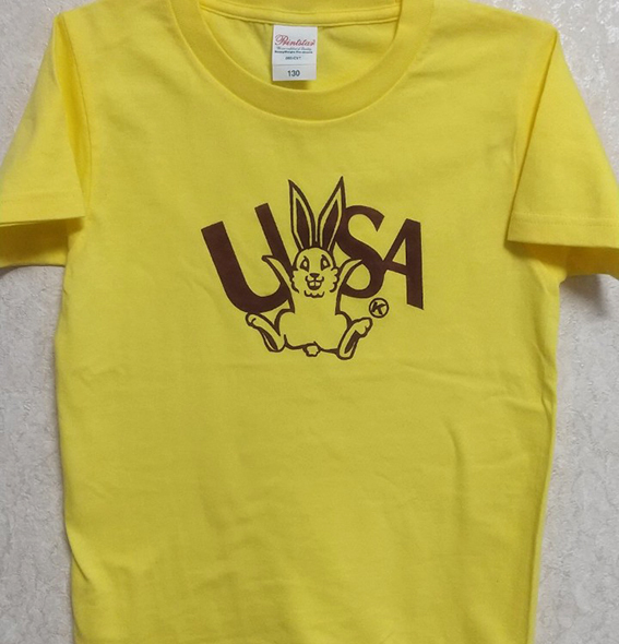 USA T-shirt  来年はウサギ！_d0139575_00020787.jpg