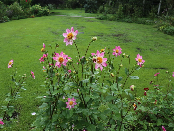 旅は道連れ長野の旅･････その１_b0331802_23125198.jpg