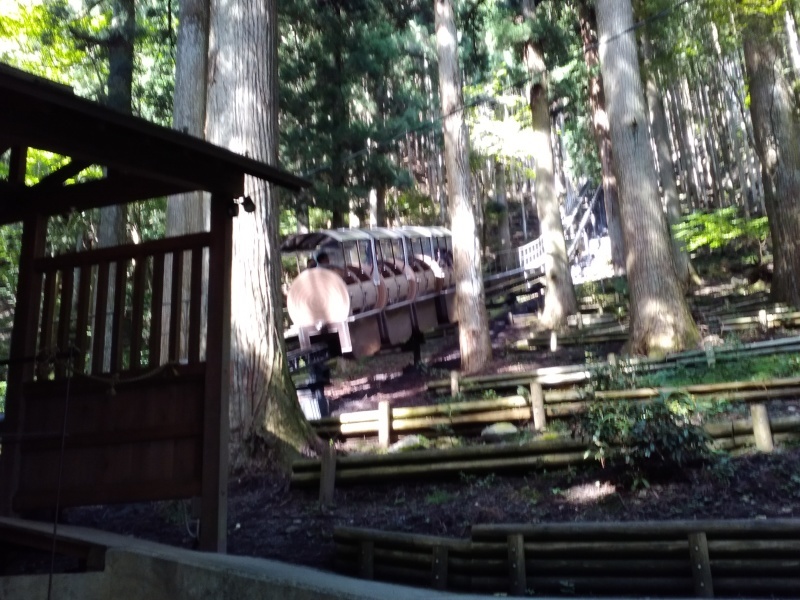 洞川温泉（どろがわおんせん）を日帰り_b0109511_19305590.jpg
