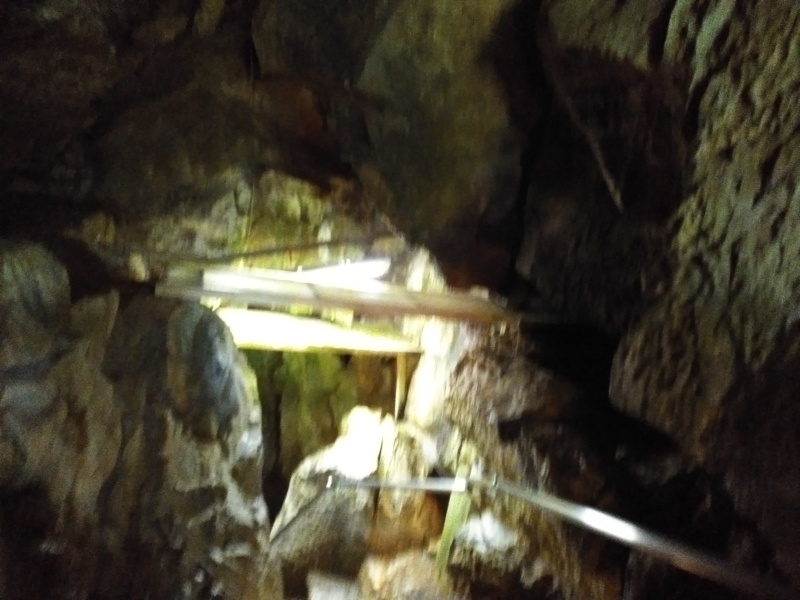洞川温泉（どろがわおんせん）を日帰り_b0109511_19311153.jpg