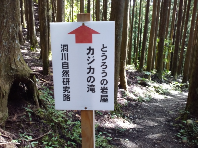 洞川温泉（どろがわおんせん）を日帰り_b0109511_19315828.jpg