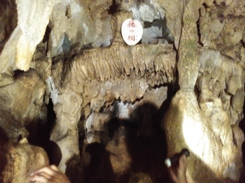 洞川温泉（どろがわおんせん）を日帰り_b0109511_19340349.jpg