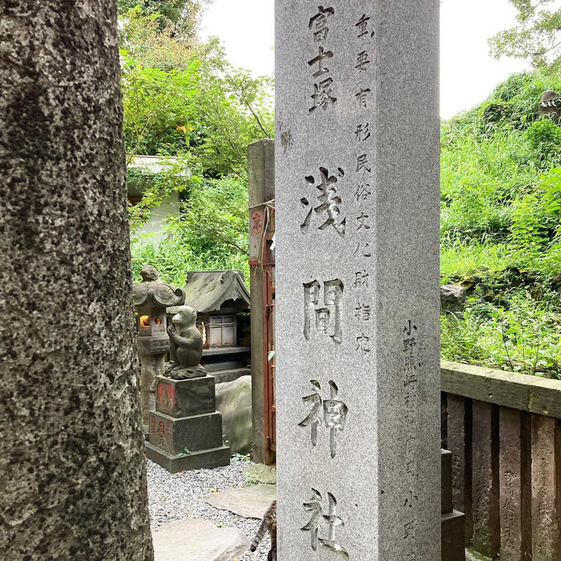 下谷坂本富士とネコ #1日1記事P_c0060143_06562330.jpg