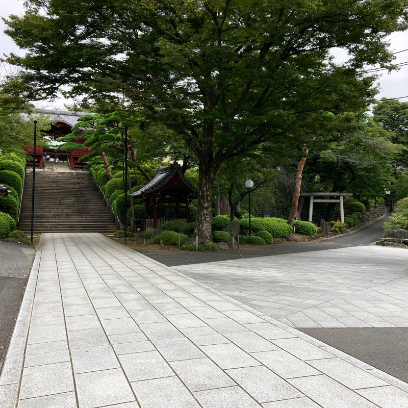 護国寺にある音羽富士 #1日1記事P_c0060143_07500649.jpg