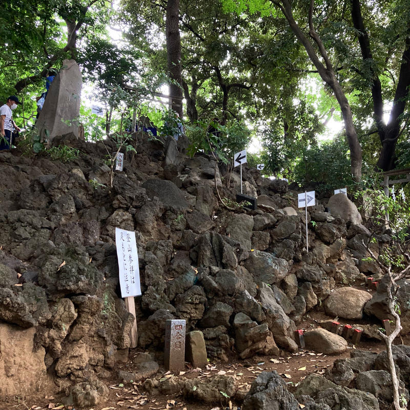 偶然江古田富士も登れちゃいました #1日1記事P_c0060143_09341334.jpg