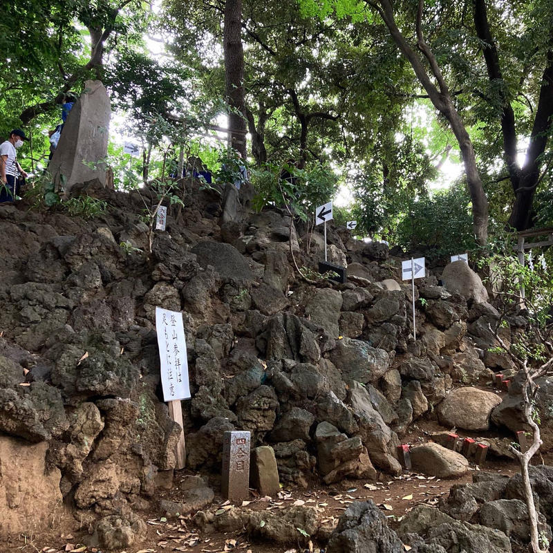 偶然江古田富士も登れちゃいました #1日1記事P_c0060143_09345114.jpg