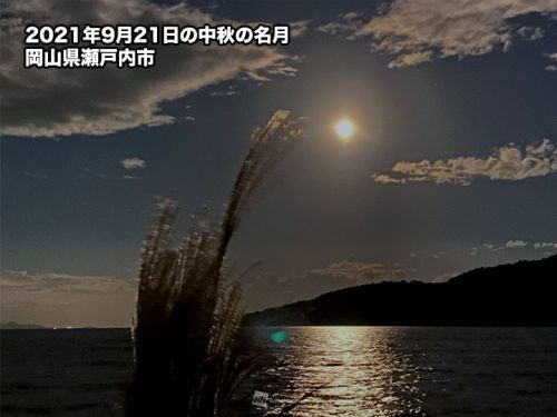 昨夜は、中秋の満月_e0080345_06140757.jpg
