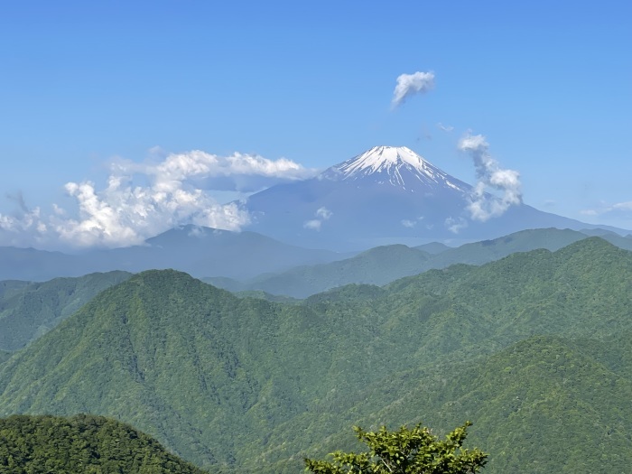 2022年5月28日 檜洞丸（ひのきぼらまる）登頂 : C級呑兵衛の