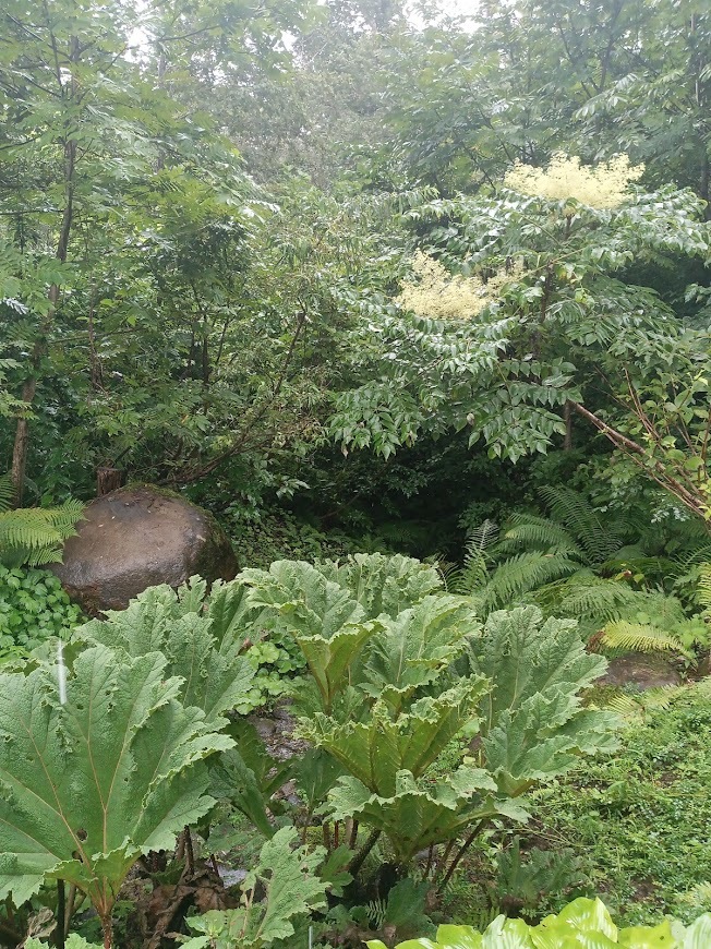 旅は道連れ長野の旅･････その２_b0331802_20101036.jpg
