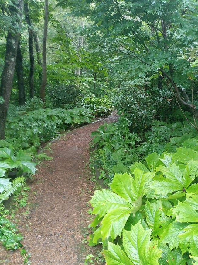 旅は道連れ長野の旅･････その２_b0331802_20101495.jpg
