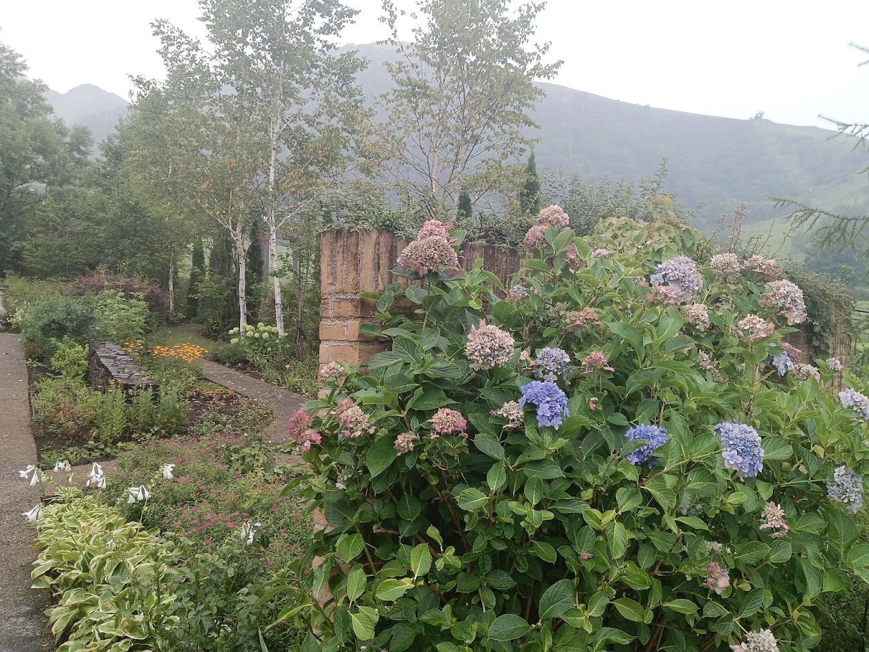旅は道連れ長野の旅･････その２_b0331802_20141419.jpg