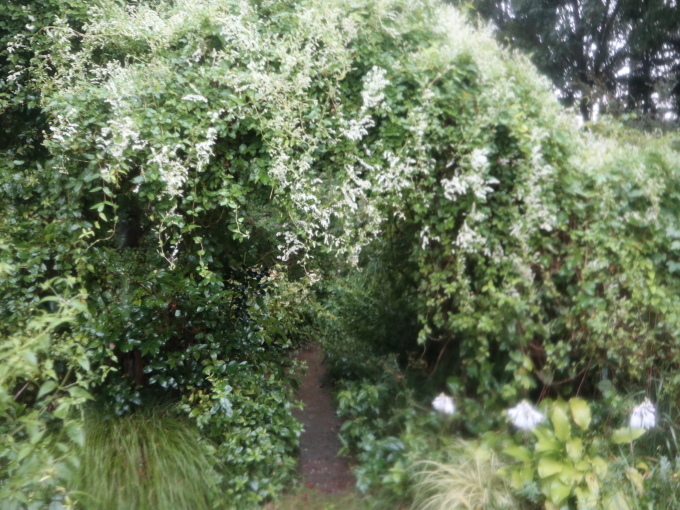 旅は道連れ長野の旅･････その２_b0331802_20330051.jpg
