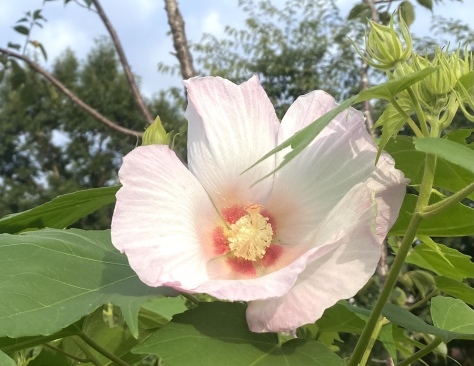 決算審査_d0130714_20480693.jpeg