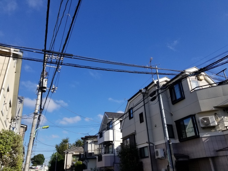 「透明性」と「説明責任」が信頼関係の基礎_e0016828_11090128.jpg