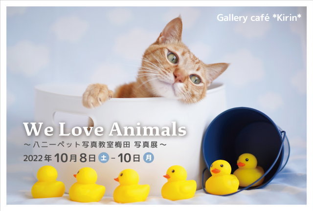 We Love Animals ～八二一ペット写真教室梅田 写真展～　　（写真展までブログトップに固定）_d0096837_10460839.jpg