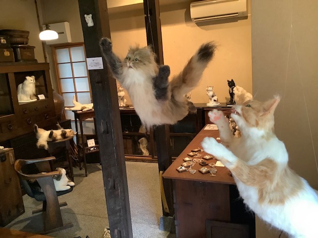 ちゃちゃきなな　Paris to Tokyo 帰国展_f0222045_14371104.jpg