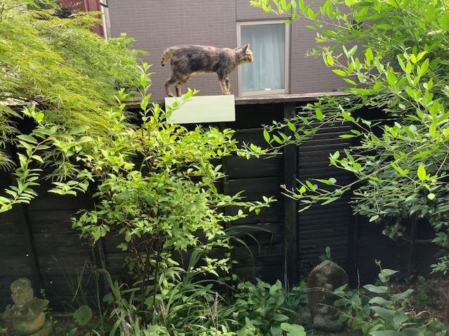 ちゃちゃきなな　Paris to Tokyo 帰国展_f0222045_14420242.jpg