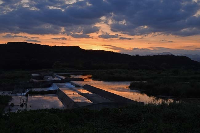 夕陽に染まる多摩川とサギ_f0173596_21430404.jpg